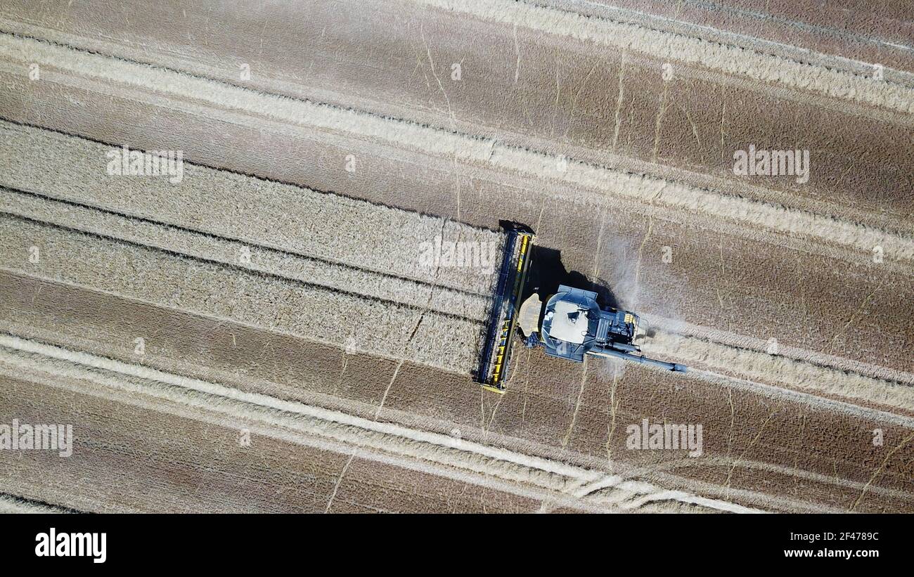 Overhead drone shot of Combine harvester in English field Stock Photo ...