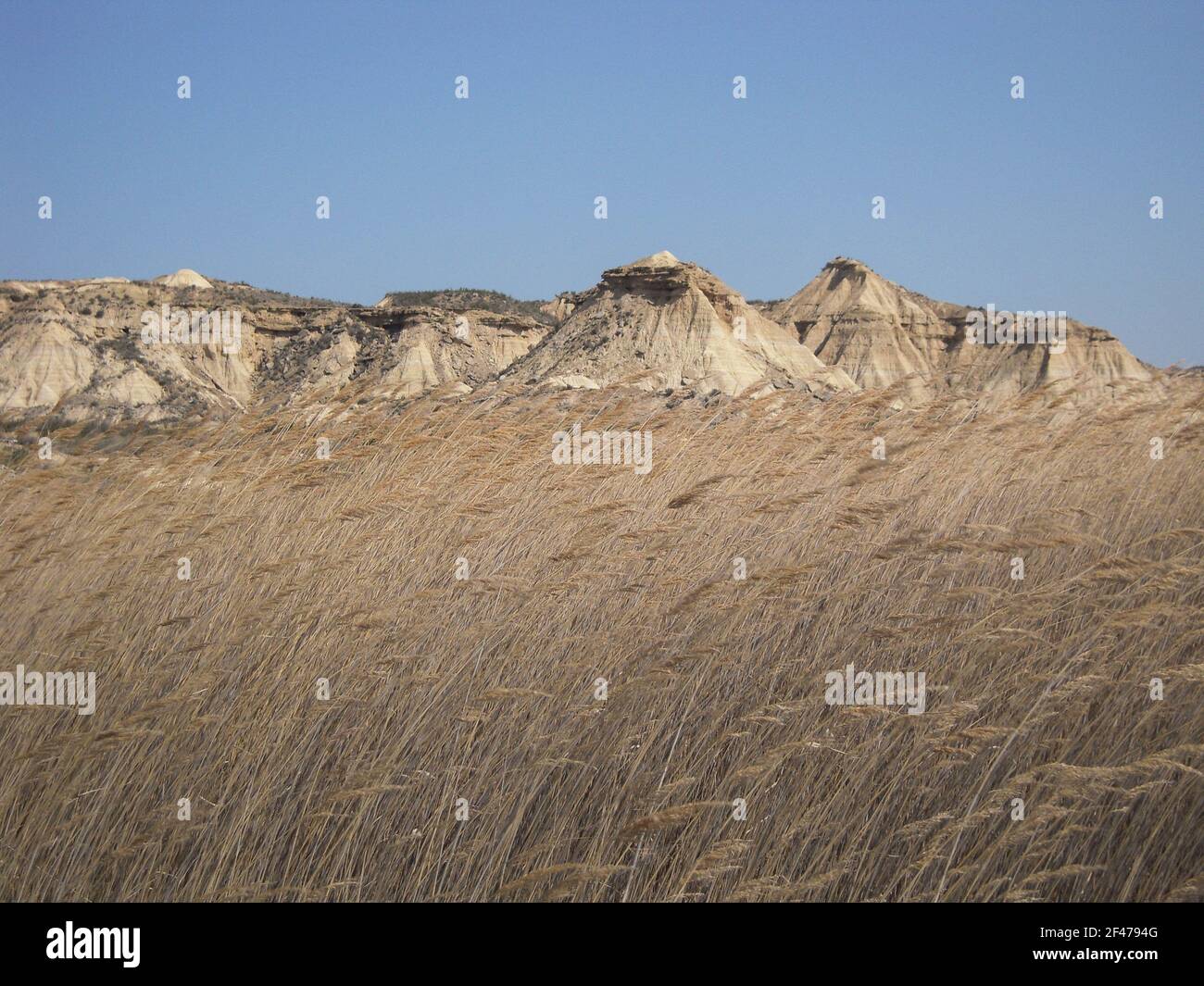 Beautiful landscape with a grass field and mountains of Bardenas Reales ...