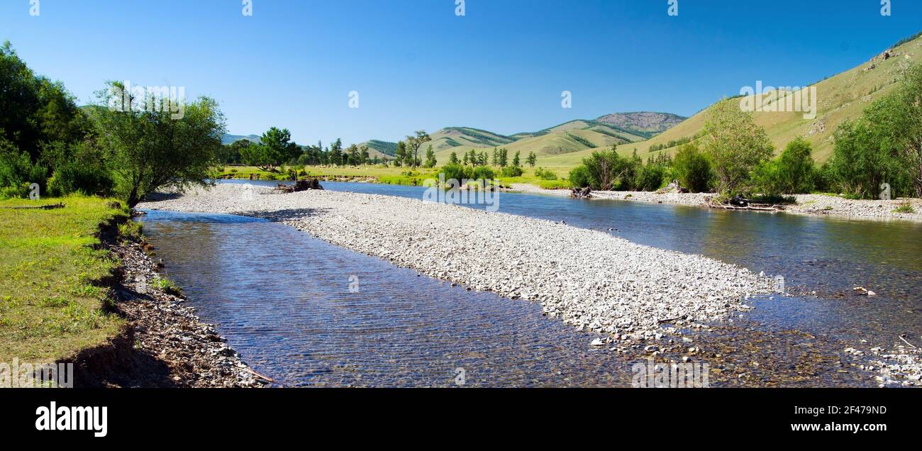 View from Mongolian wilderness area - flowering meadow and larch wood - Sayan mountain - gorhi-terelj national park - Mongolia Stock Photo