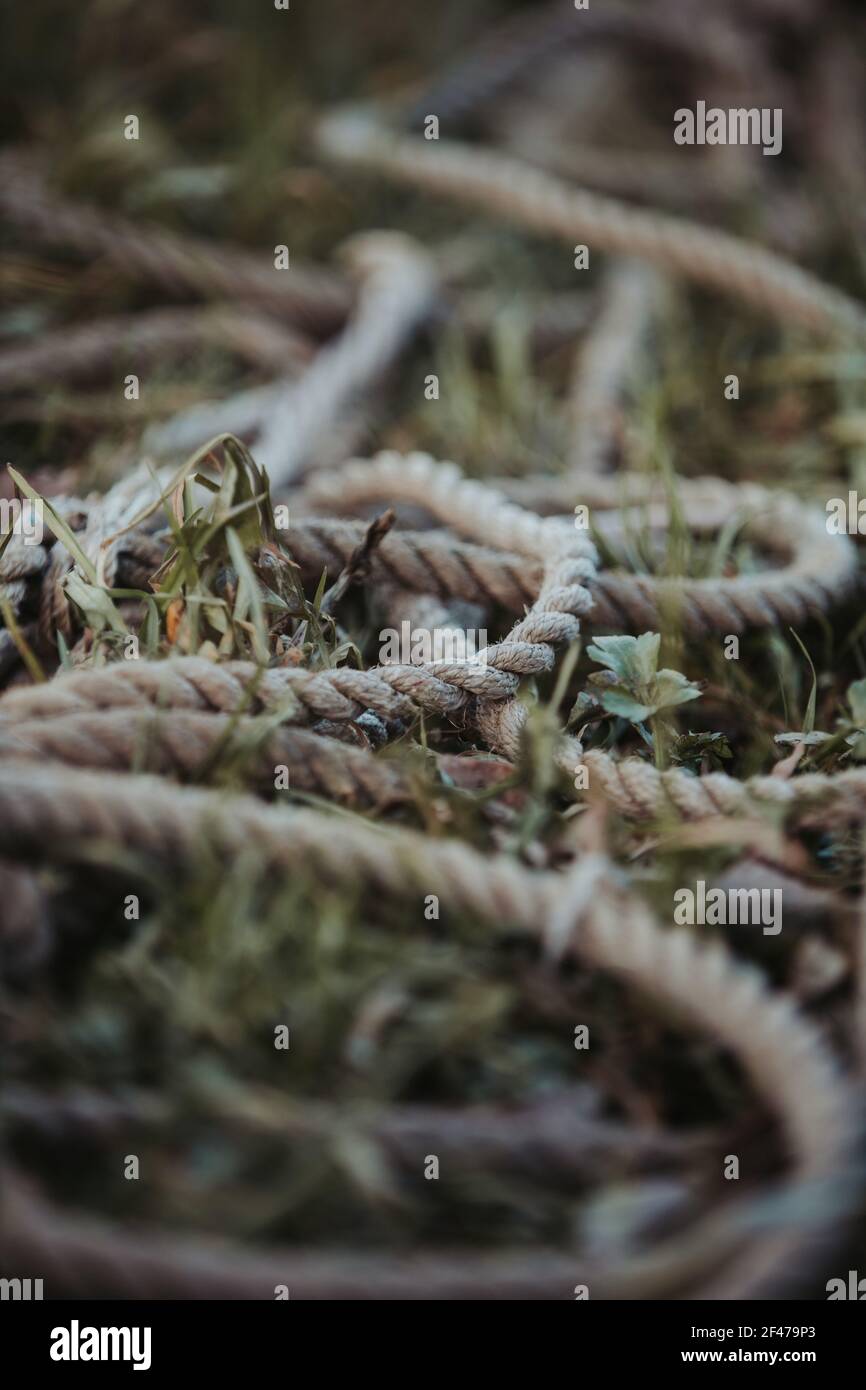 A selective focus shot of a rope on the grass Stock Photo