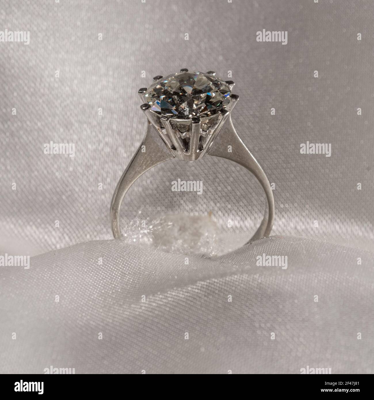 precious solitair brilliant diamond mounted on white gold ring Stock Photo