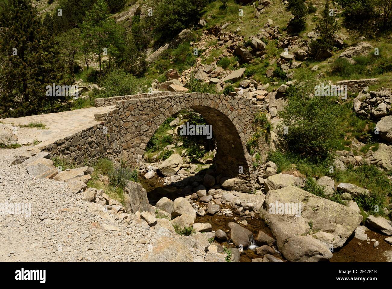GR-11 footpath bridge on the way from Núria to Queralbs (Núria Valley, Catalonia, Pyrenees, Spain) Stock Photo