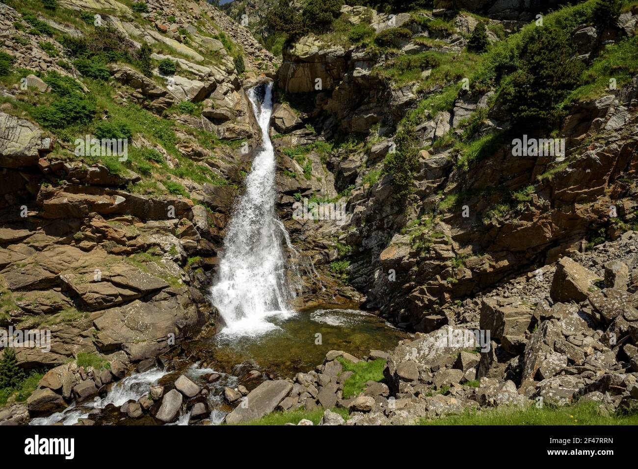 Horsetail waterfall on the Núria river in summer (Vall de Núria, Catalonia, Pyrenees, Spain) ESP: Cascada de la cola de caballo en el río de Núria Stock Photo
