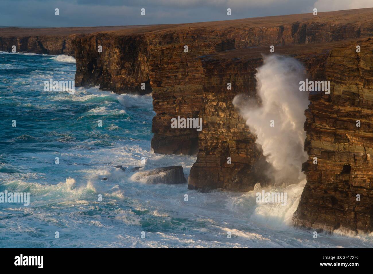 Cliffs at North Gaulton, Orkney West Mainland Stock Photo