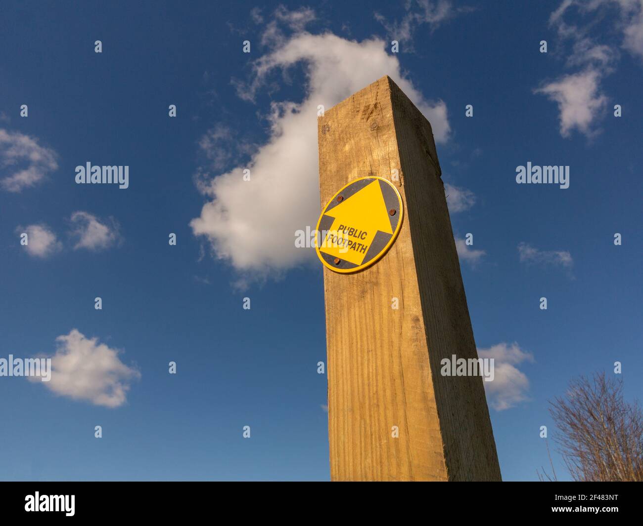 Wooden footpath post with single yellow arrow pointing to the right looking up towards a blue sky with light white clouds Stock Photo