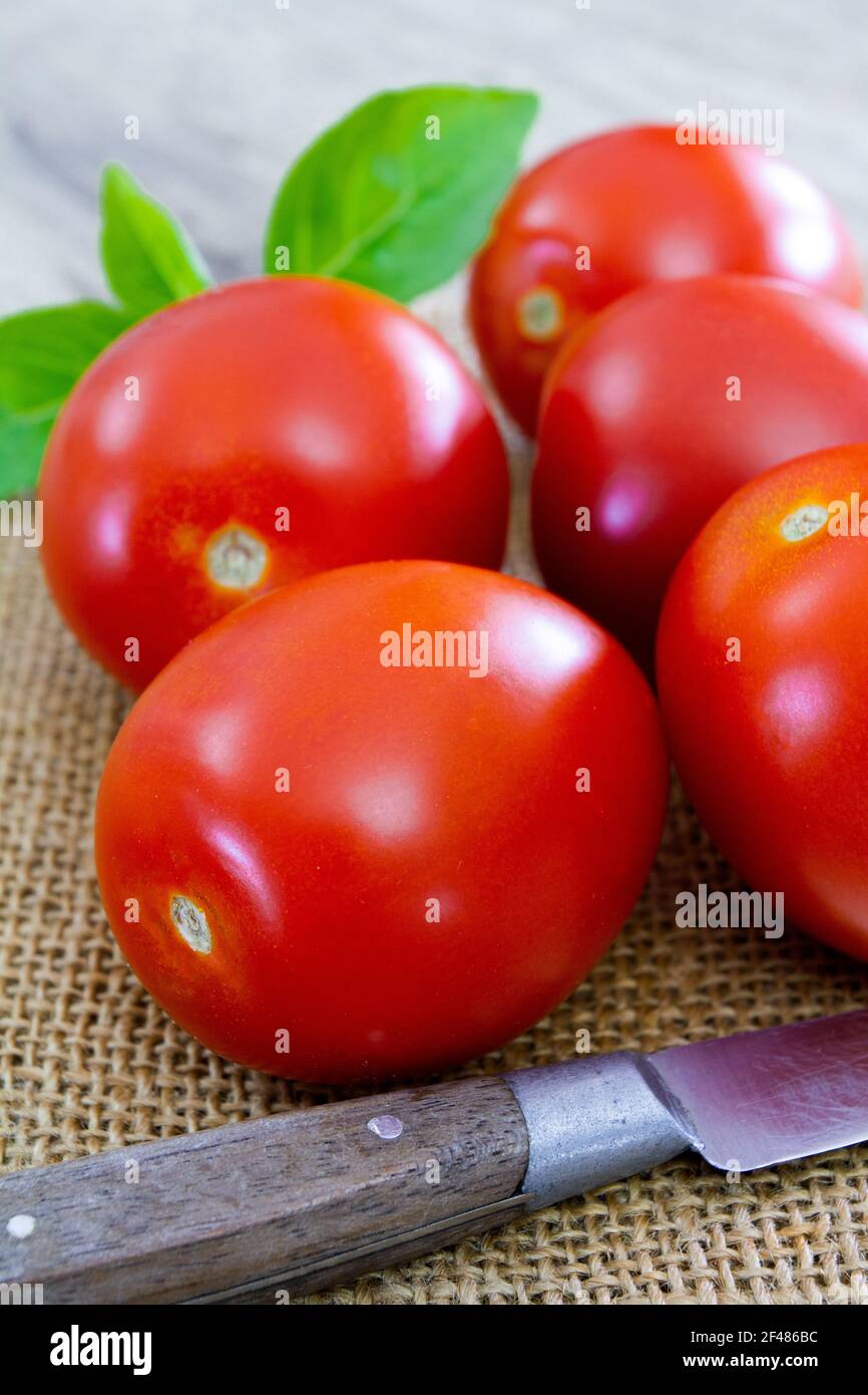 elongated tomato Stock Photo