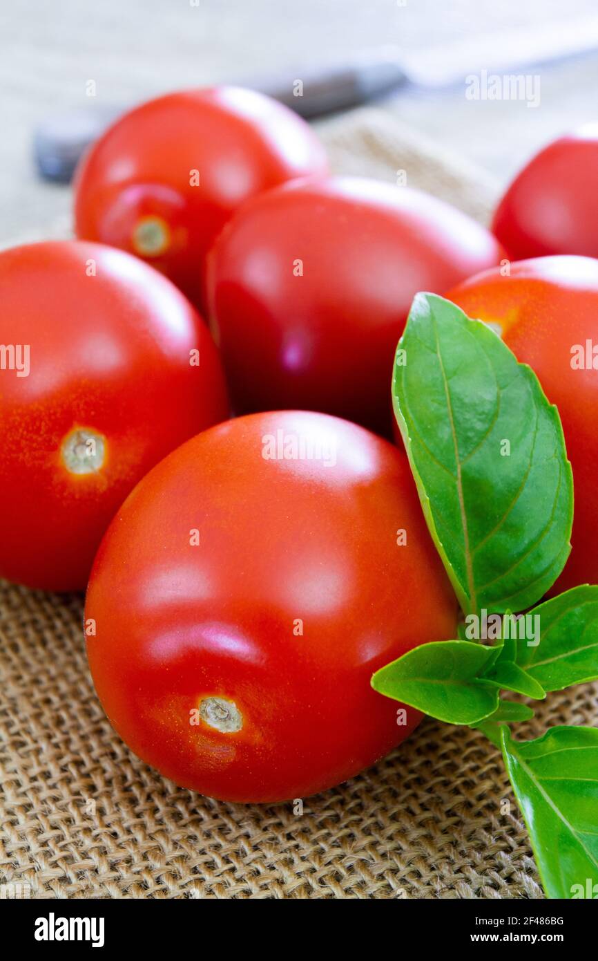 elongated tomato Stock Photo