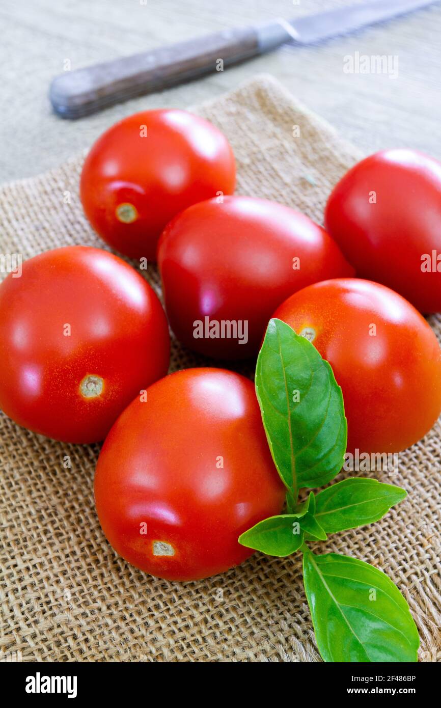 elongated tomato Stock Photo