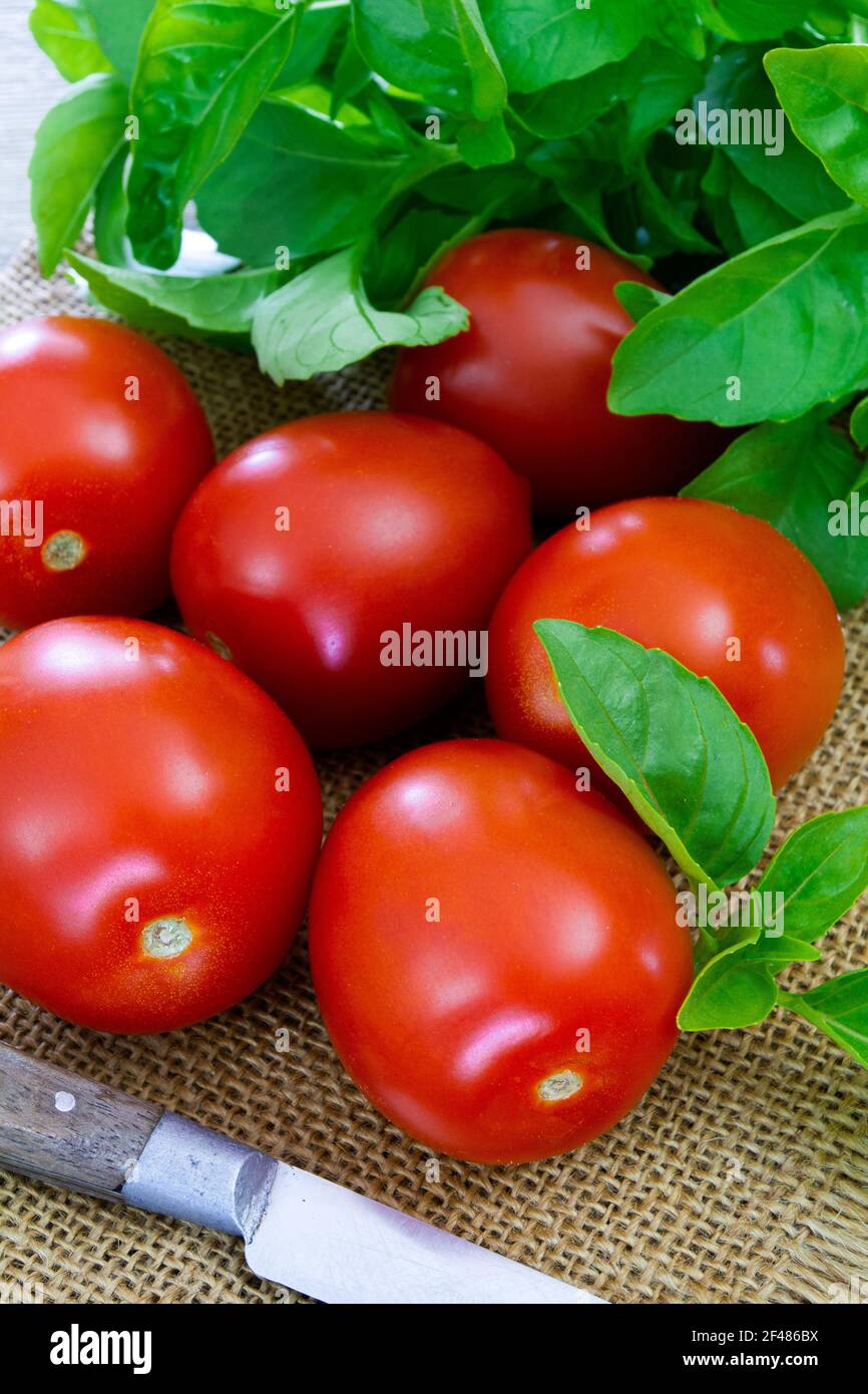 elongated tomato Stock Photo