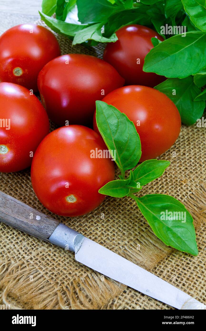 elongated tomato Stock Photo