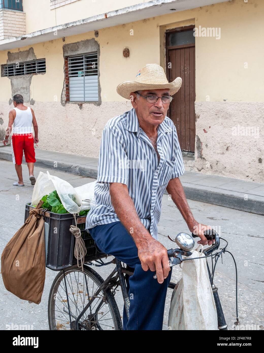 Cuban lettuce hi-res stock photography and images - Alamy