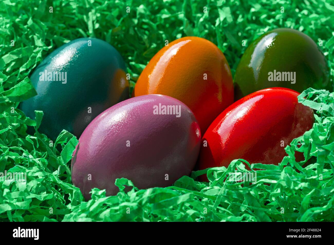 Colorful Easter eggs, lying in an Easter nest, made of green paper grass. Five multicolored Paschal eggs, hard boiled chicken eggs, in crinkle grass. Stock Photo