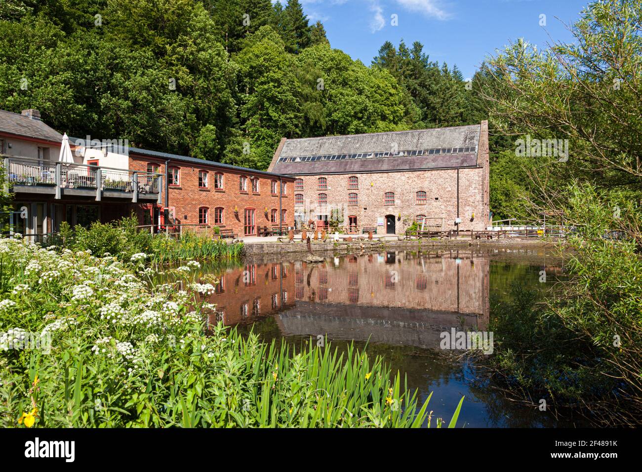 The Dean Heritage Centre in the Forest of Dean at Lower Soudley, Gloucestershire UK Stock Photo