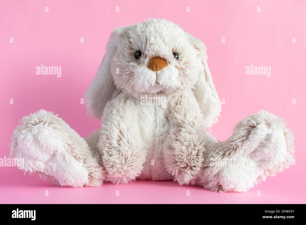 pink soft bunny