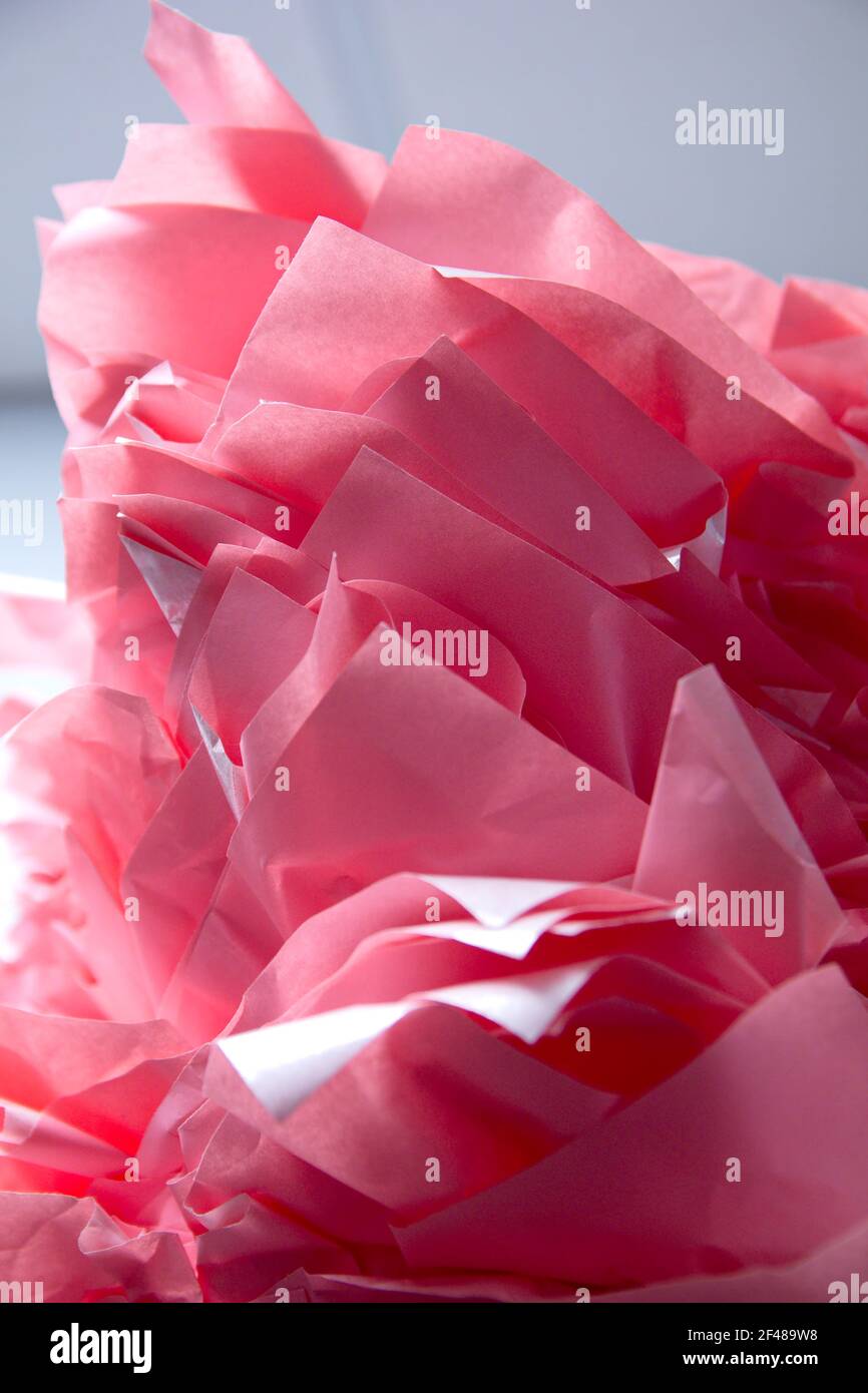 Low angle view of stacked hot pink tissue paper flower abstract. Stock Photo