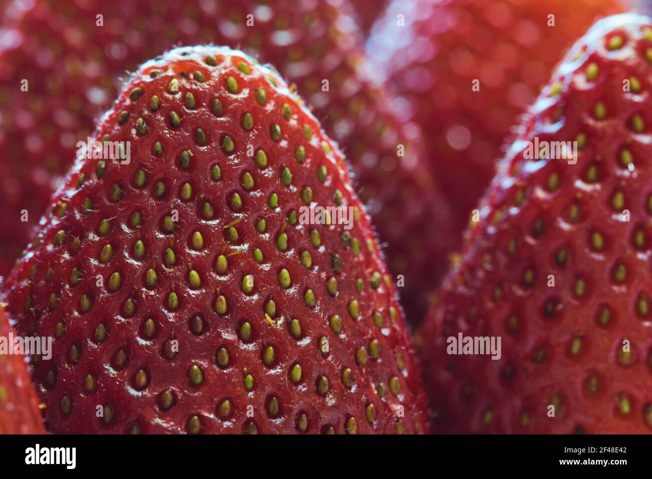 Full frame macro image strawberries hi-res stock photography and images ...