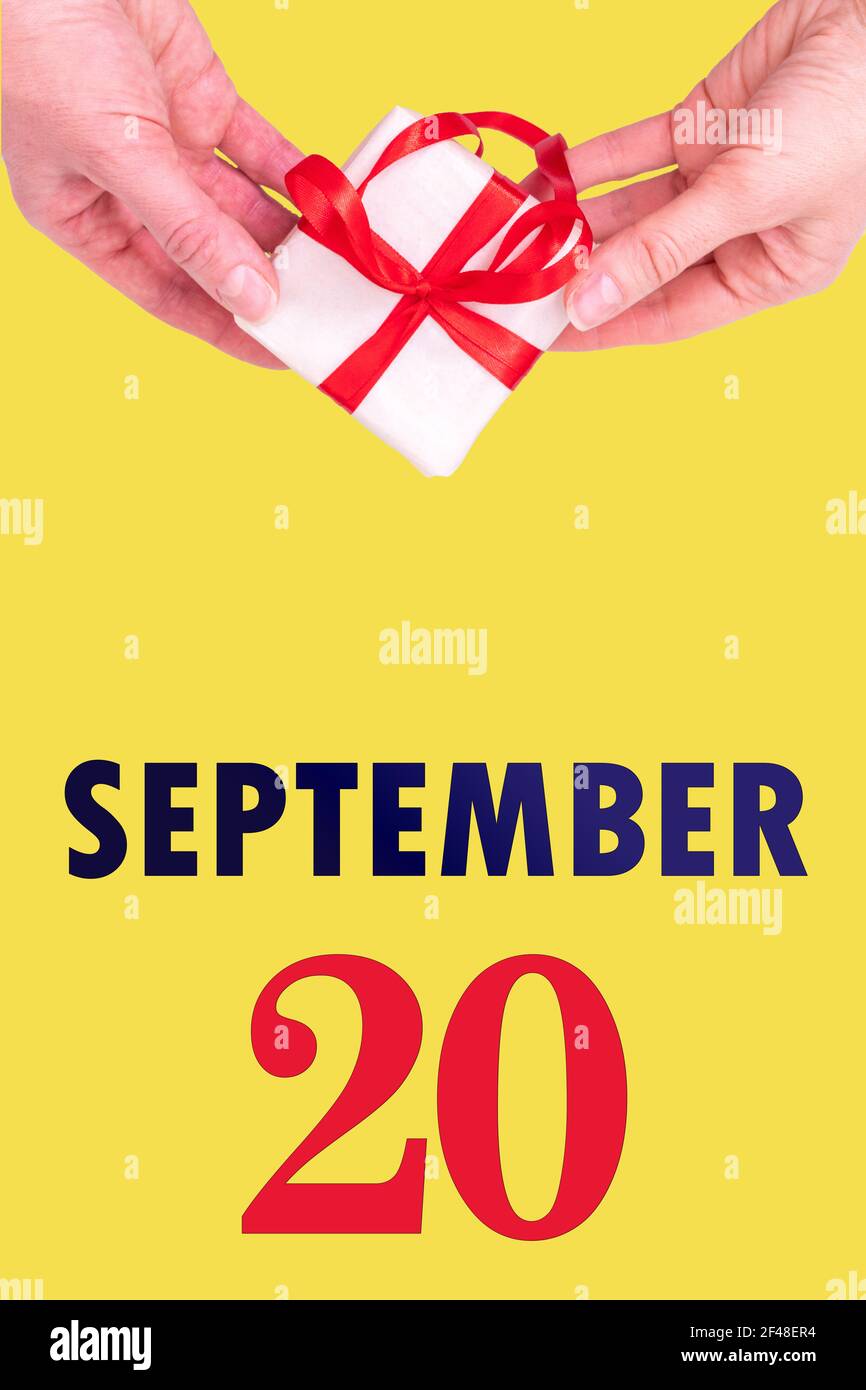 September 20th. Festive Vertical Calendar With Hands Holding White Gift Box With Red Ribbon And Calendar Date 20 September On Illuminating Yellow Back Stock Photo