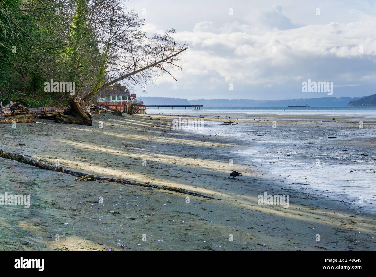 A view of the shoreline at low tide at Dash Point State Park in
