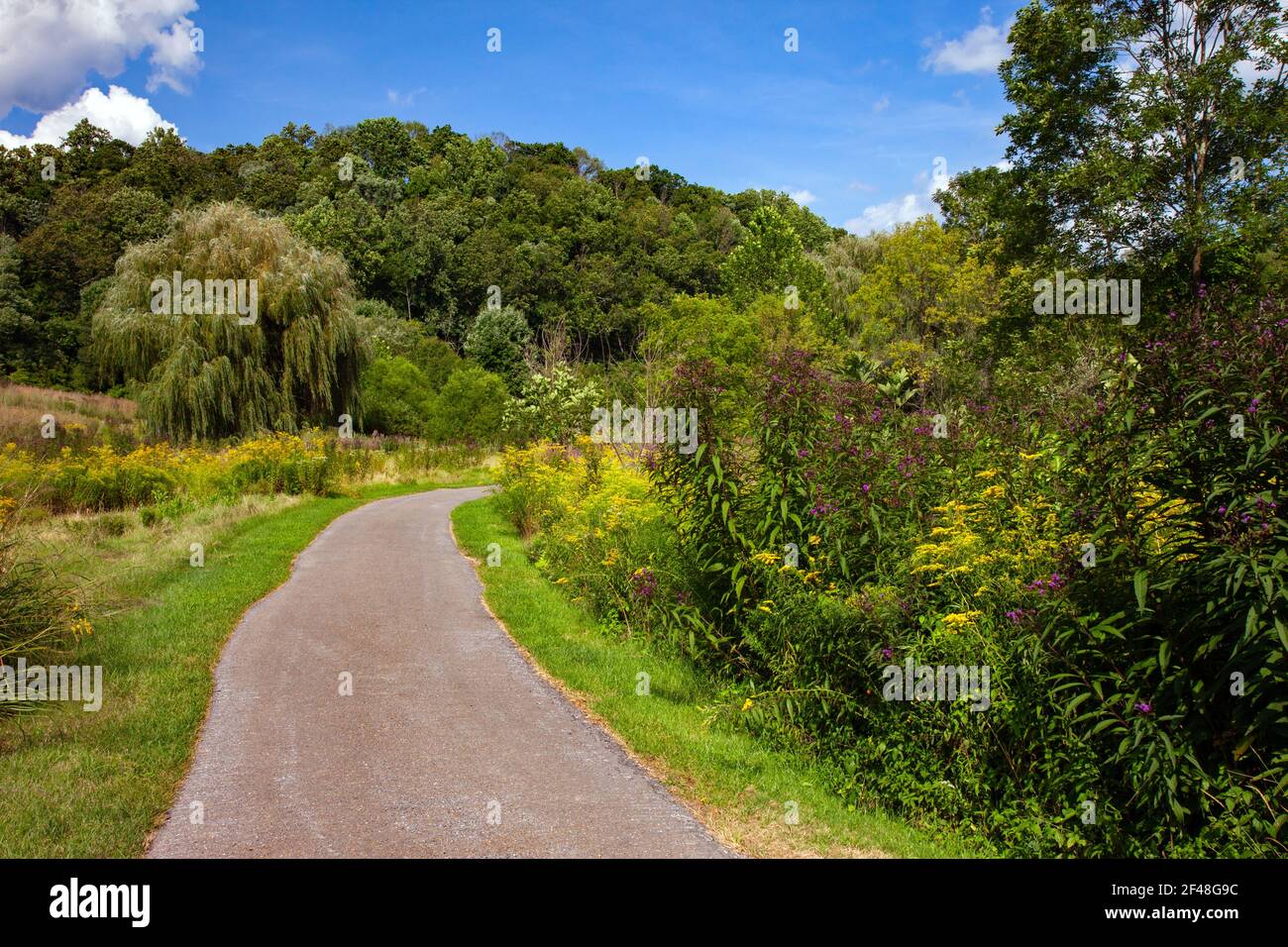 A pathway through a wild meadow of native wildflowers and grasses on a former golf couse at Cherry Valley National Wildlife Refuge in Pennsylvania Stock Photo