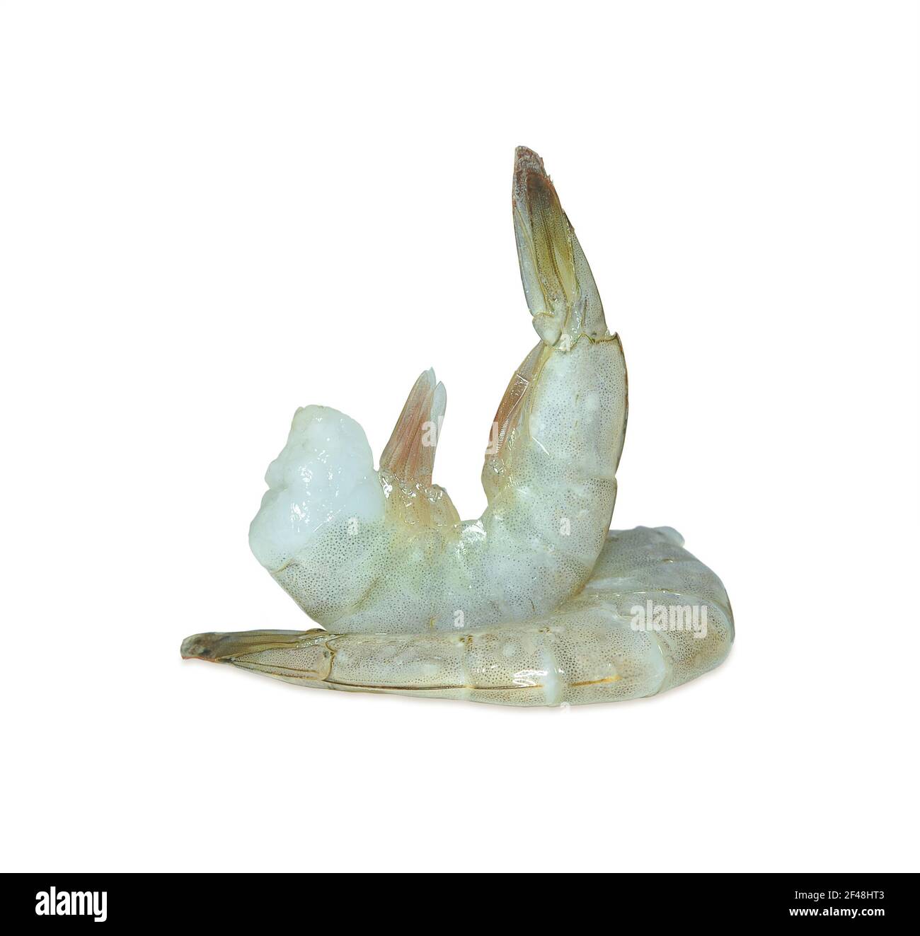 Raw shrimps isolated on a white background. Stock Photo