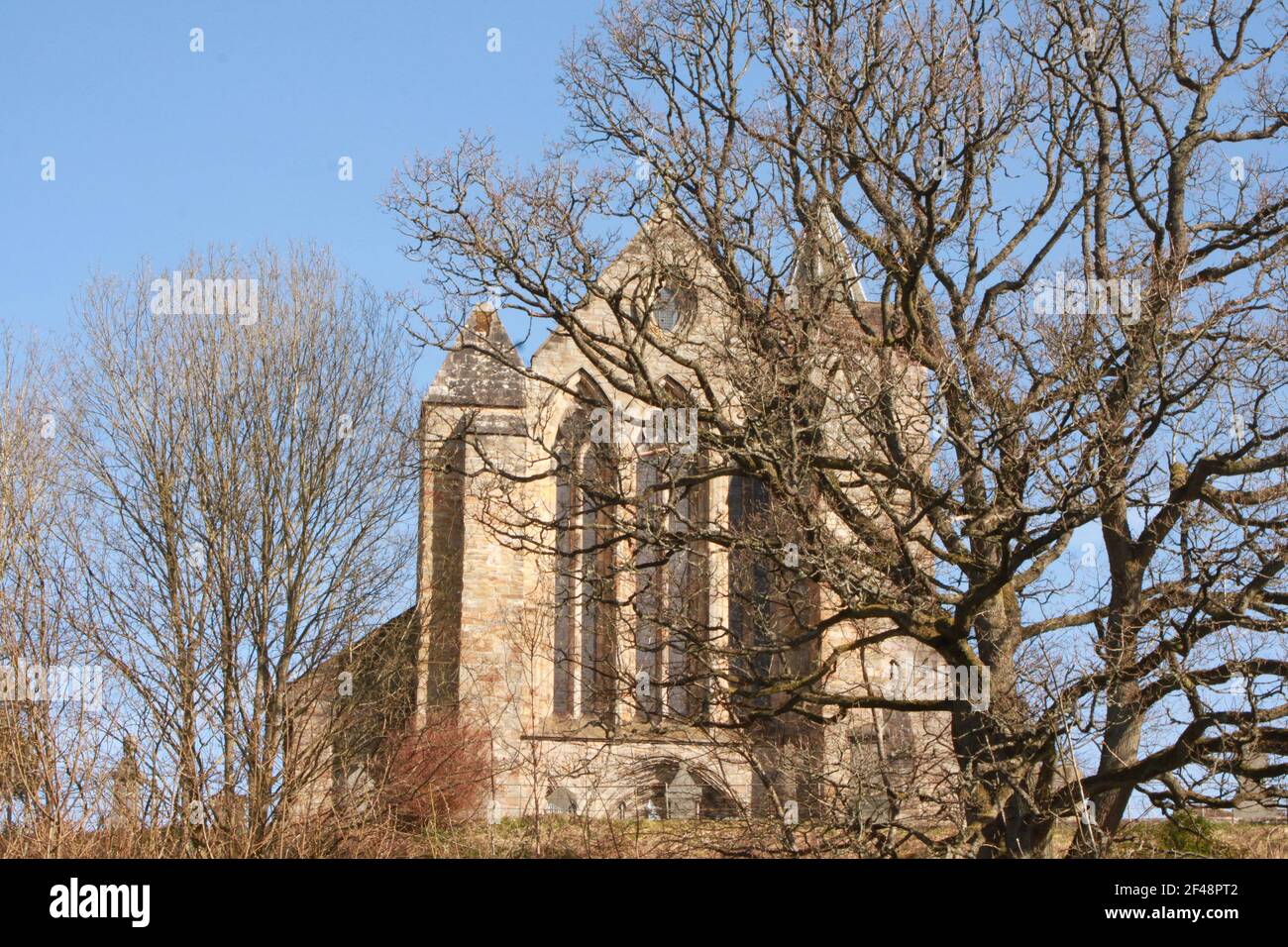 Nature captured outside of Dunblane Cathedral. Outdoor photograph of Dunblane Cathedral captured opposite the river Allan. Places of worship UK. Stock Photo