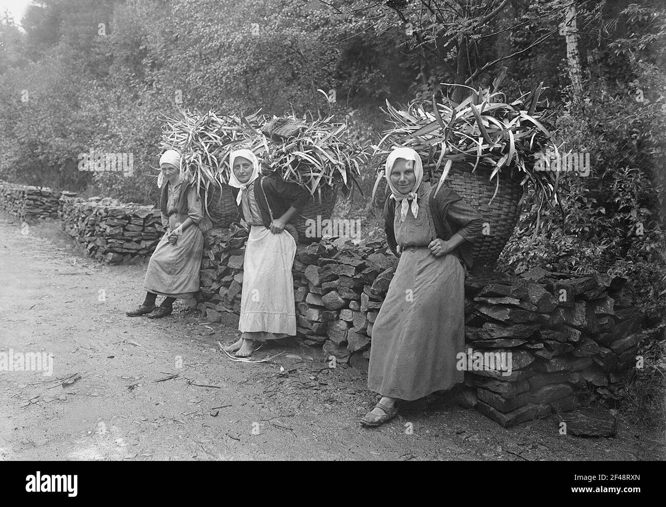 Technical History Forestry, Hunting Forestry Forest use Wood