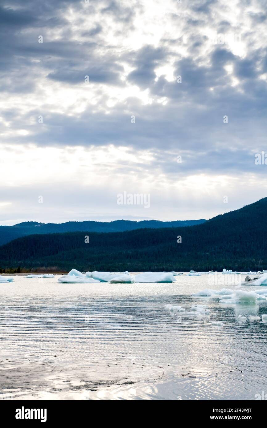 Small icebergs, also known as bergy bits and growlers, floating in Mendenhall lake at the base