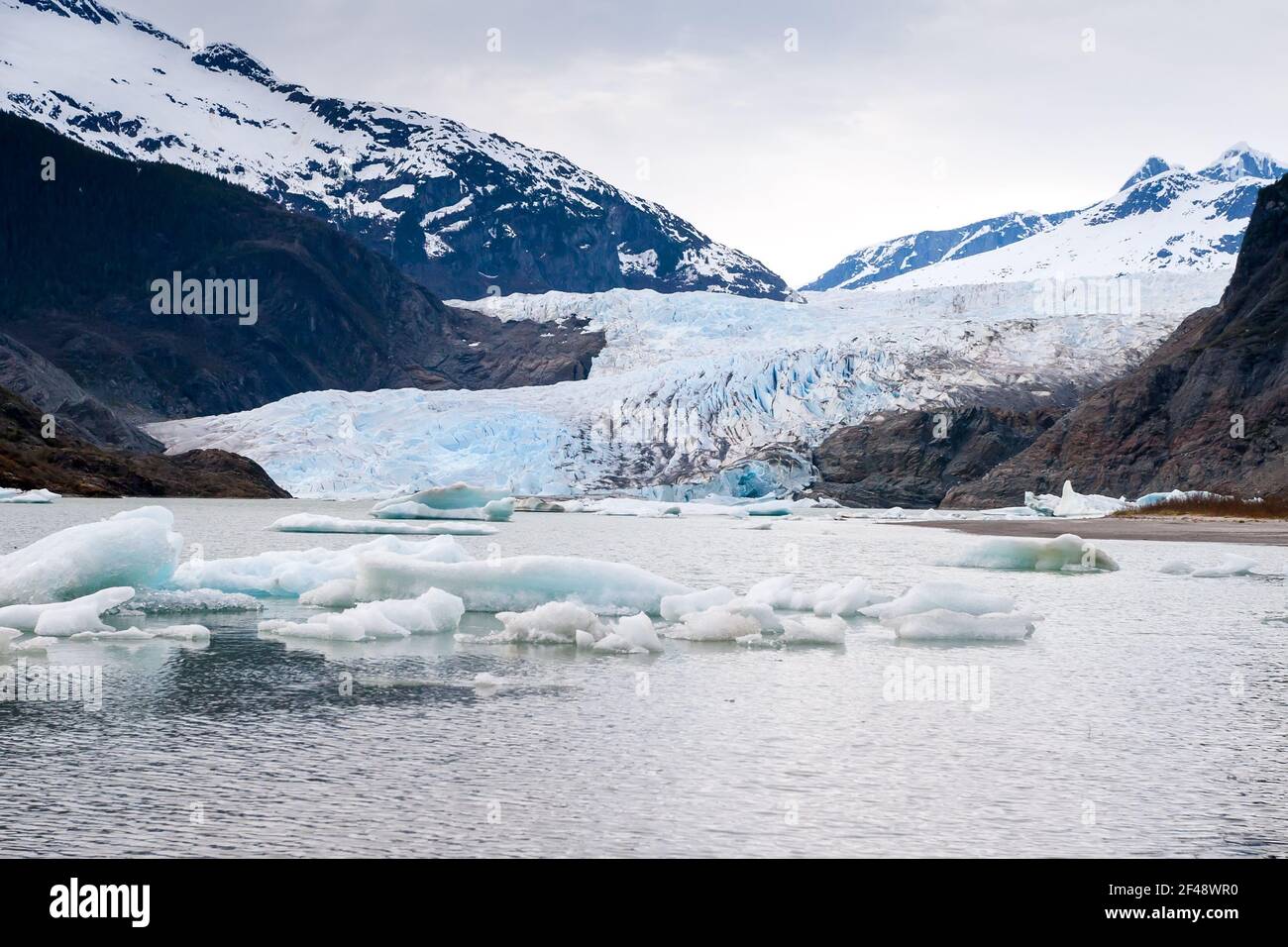 The Mendenhall Glacier and small icebergs, also known as bergy bits and