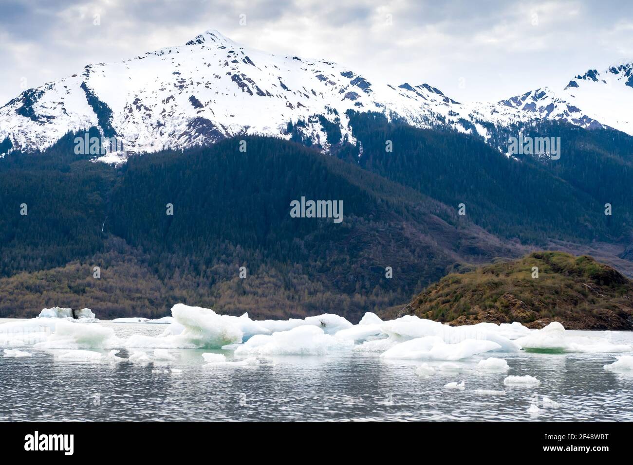 Small icebergs, also known as bergy bits and growlers, floating in Mendenhall lake at the base