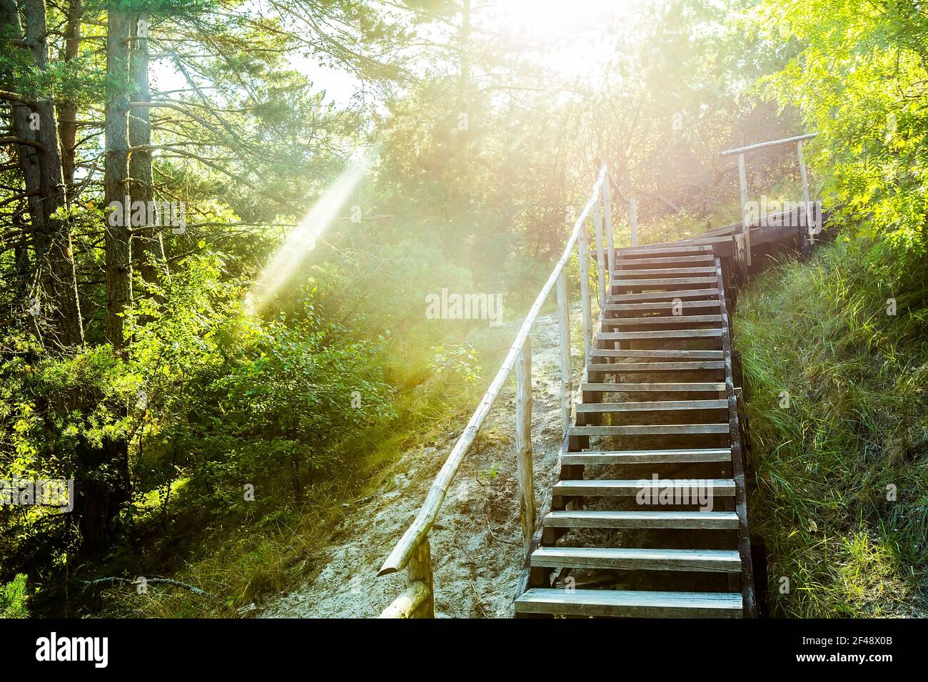 wooden staircase with railing in the national Park Stock Photo - Alamy