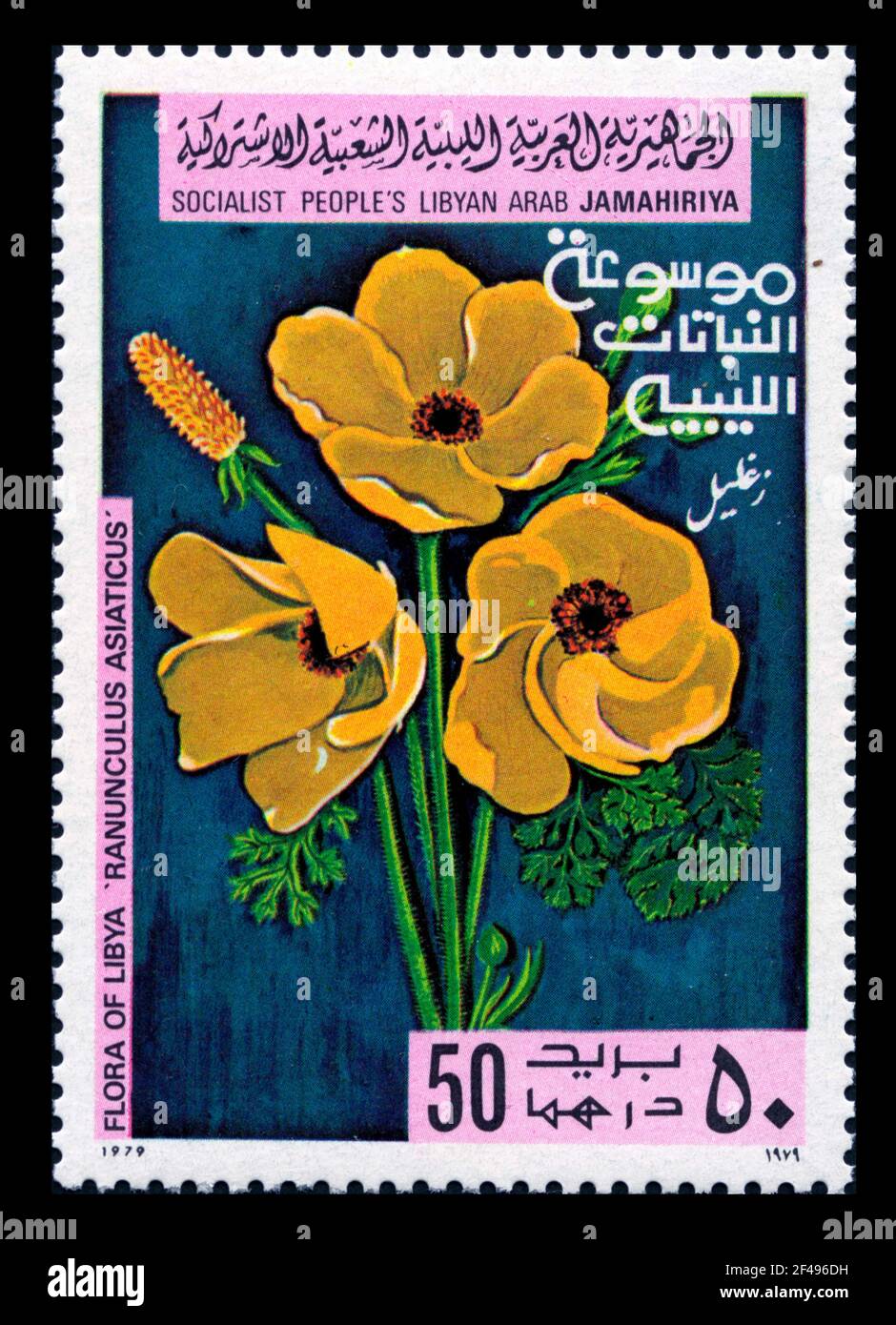 Stamp print in Libya, flowers Stock Photo
