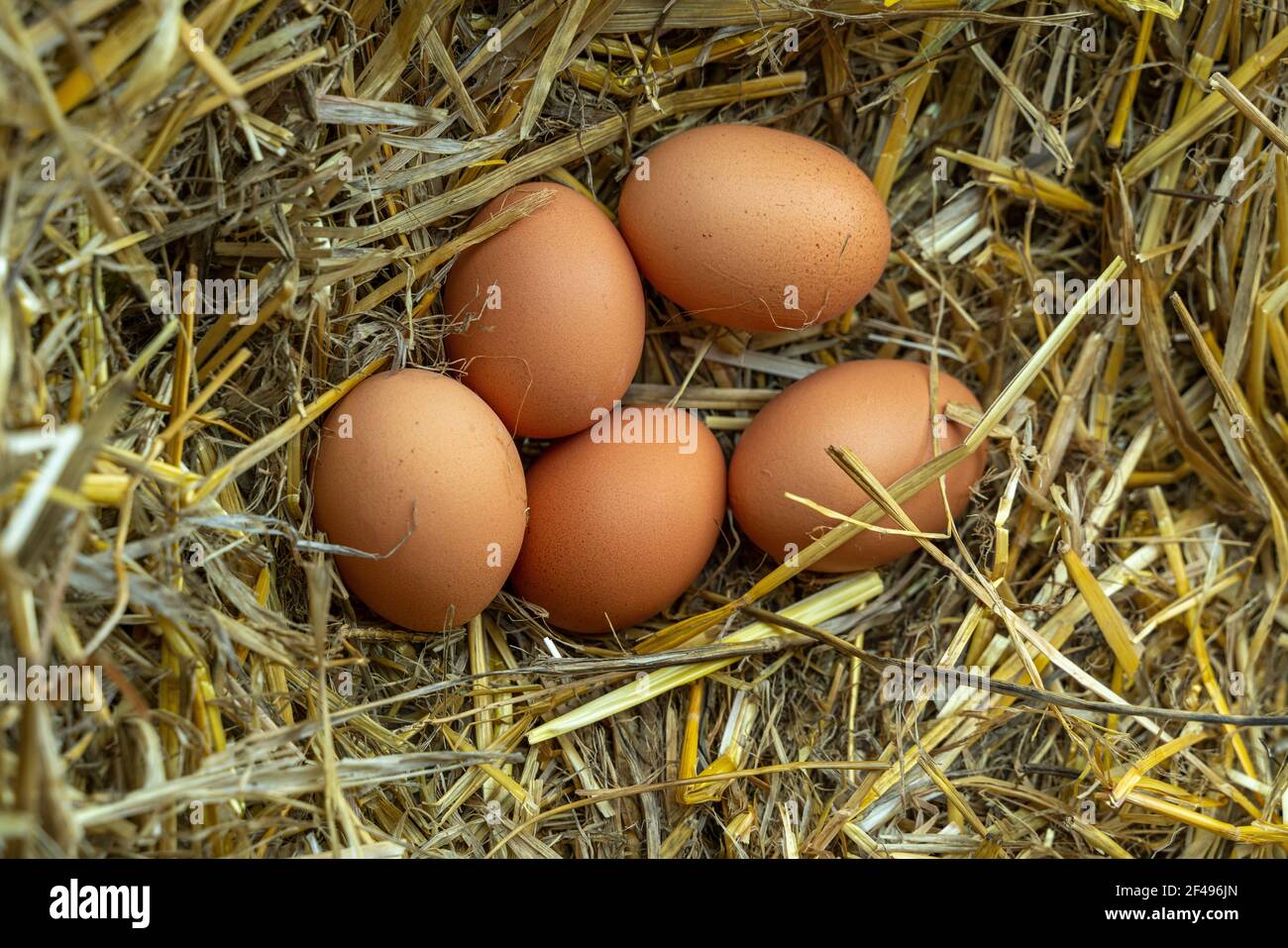 Italy Now Abruzzo PDF | PDF | Alps | Italy, image size:1300x957