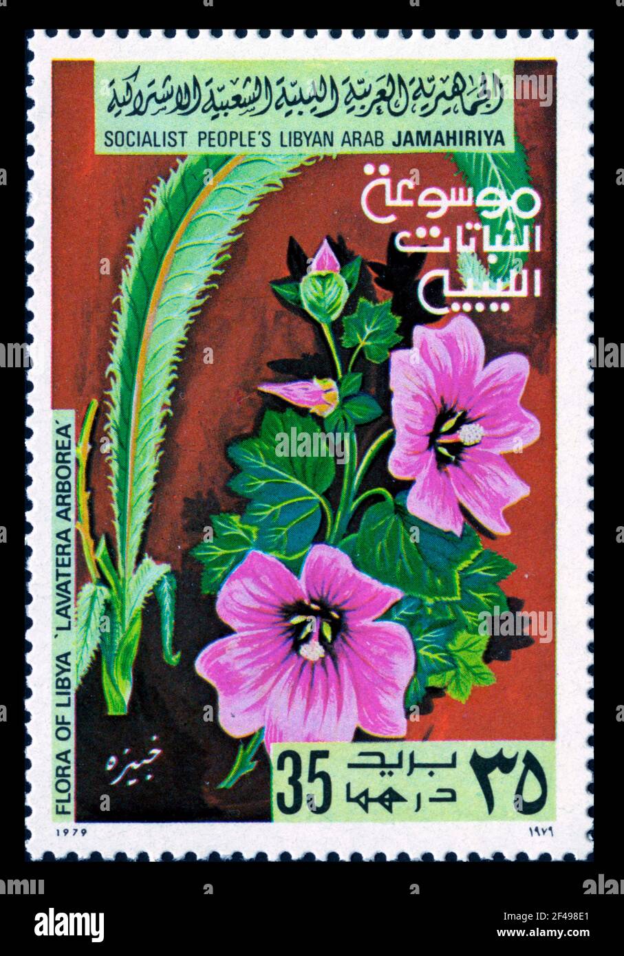 Stamp print in Libya, flowers Stock Photo
