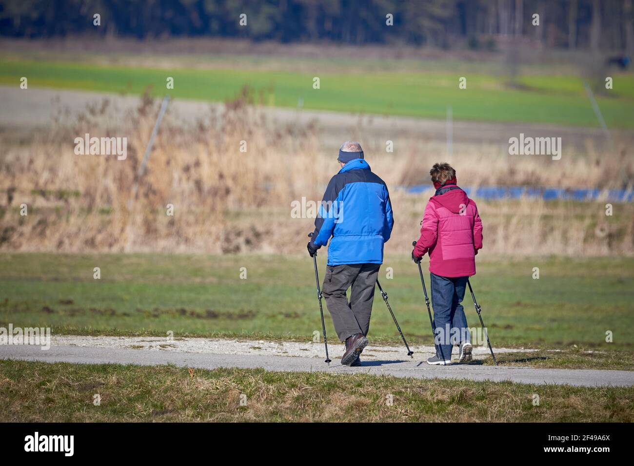 Senior woman walking in park hi-res stock photography and images - Alamy