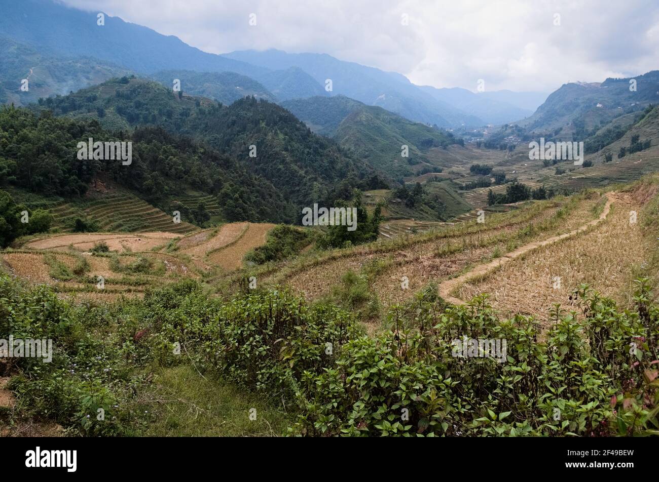 Rice terraced fields on the background of valley view. Traditional rural Vietnamese landscape in the mountains. Sa Pa, Vietnam. Stock Photo