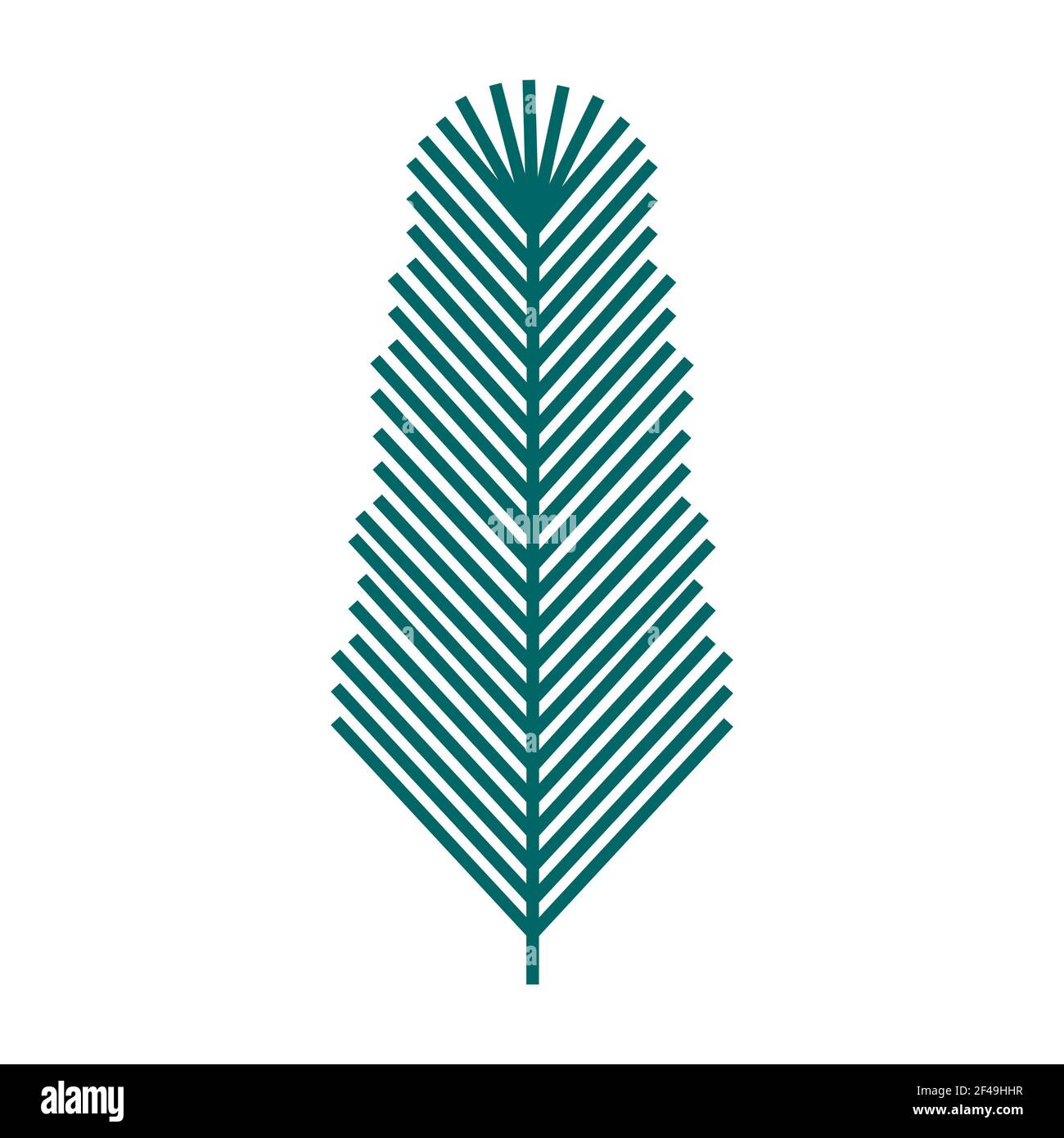 Simple minimalistic green branch of a spruce with needles. Floral collection of elegant plants for seasonal decoration. Stylized icons of botany. Stoc Stock Vector