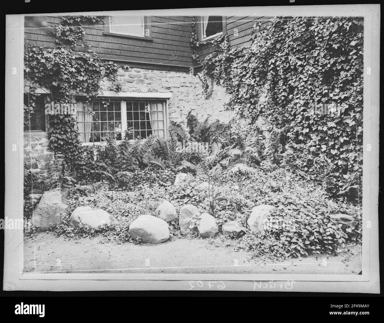 Ojai Valley. Fernery, Pierpont Cottages, Ojai Valley, Cal Stock Photo ...