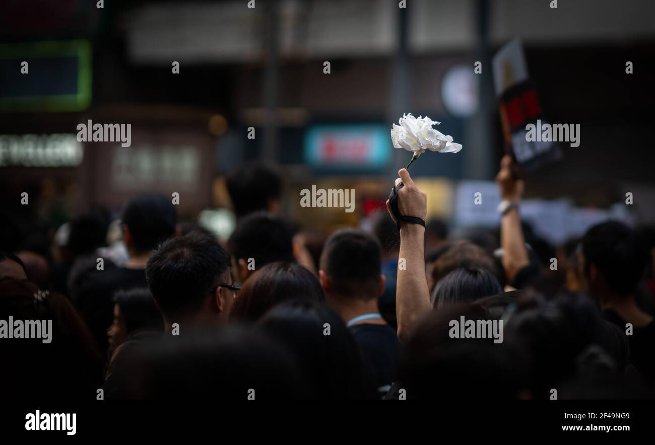 HONG KONG, CHINA - Jun 16, 2019: HONG KONG - JUN 16, 2019: Anti-Extradition Bill Protest in Hong Kong on 16 Jun 2019. Holding a white sympathy flower Stock Photo