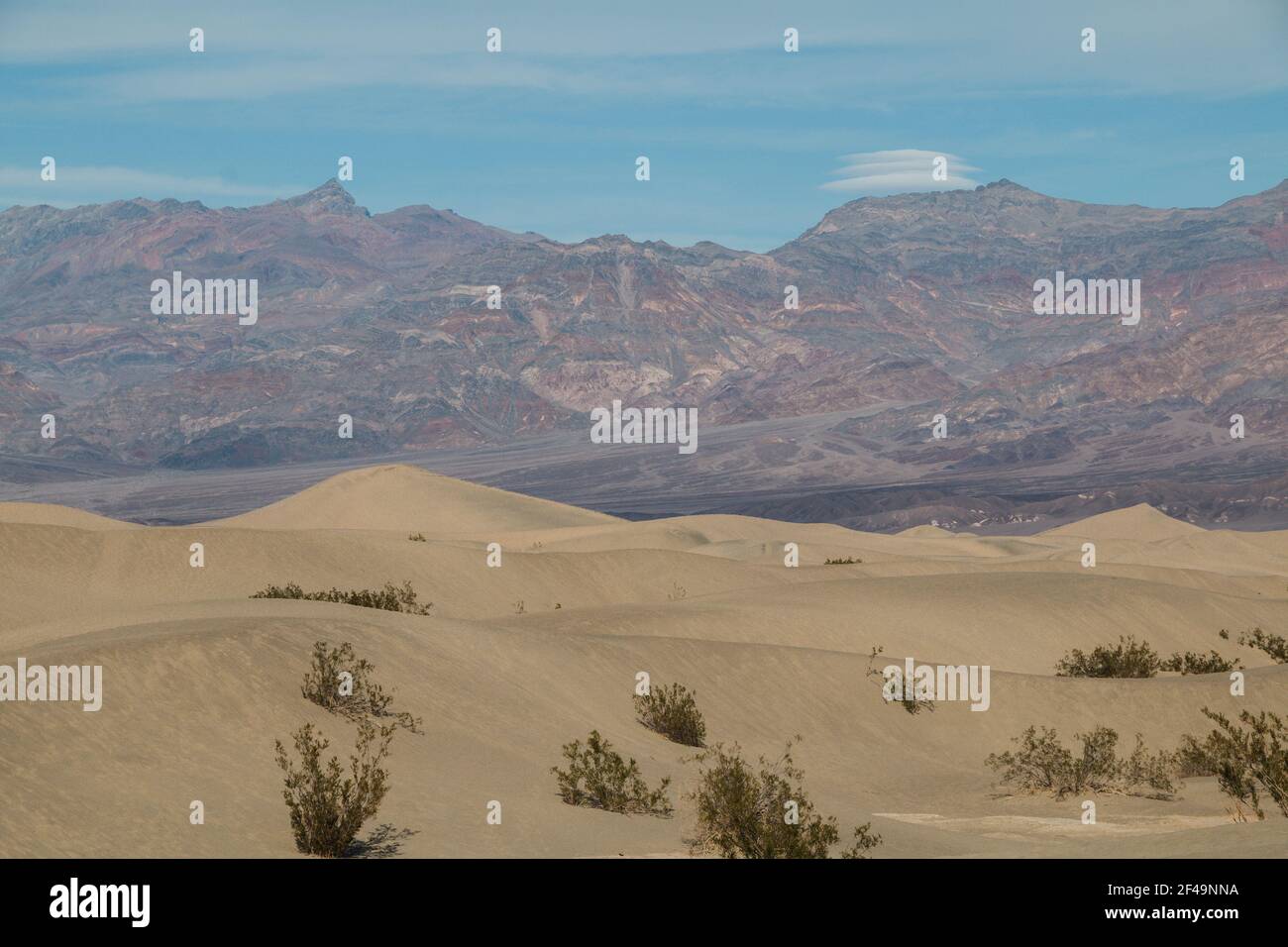 Wide shot of the Mesquite Flat Sand Dunes in Death Valley Stock Photo