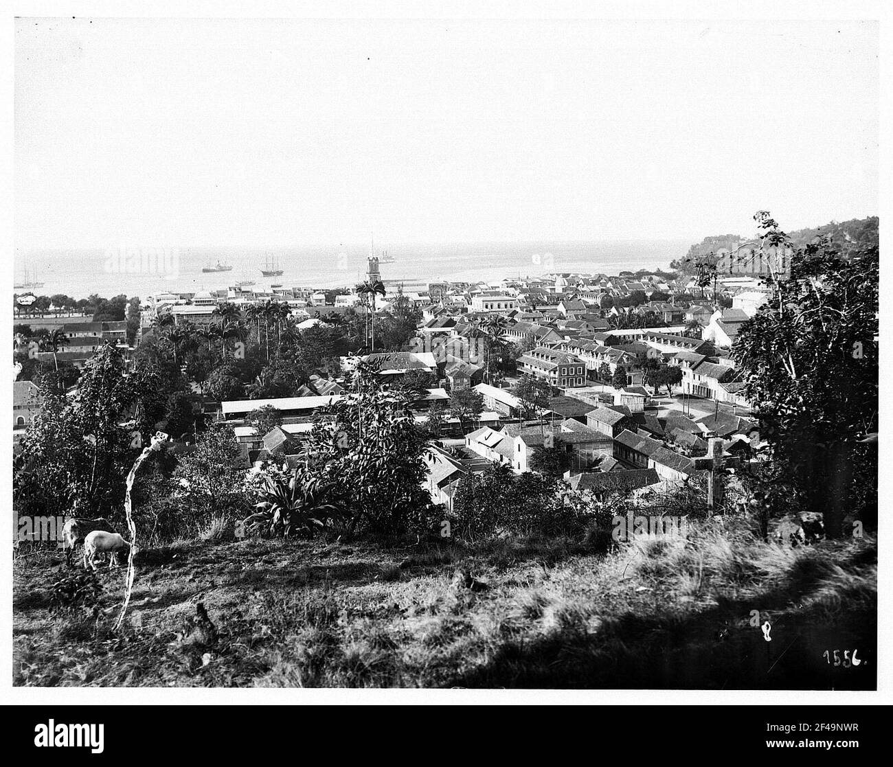 Fort de france martinique Black and White Stock Photos & Images Alamy