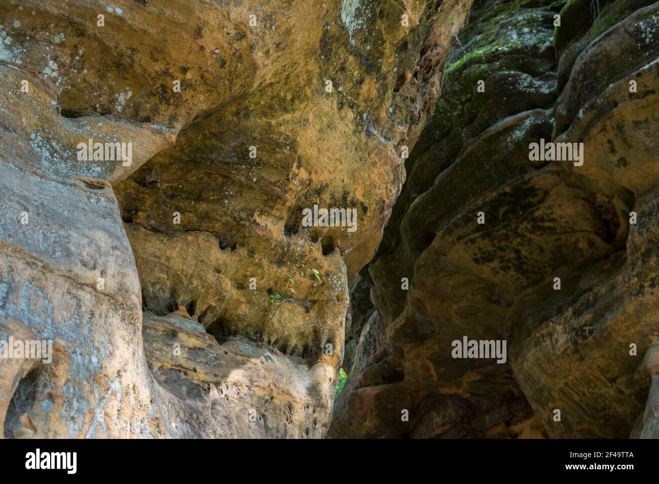 Nature Crafted Rocks rock formation made from sandstones inside of a forest during summer ...