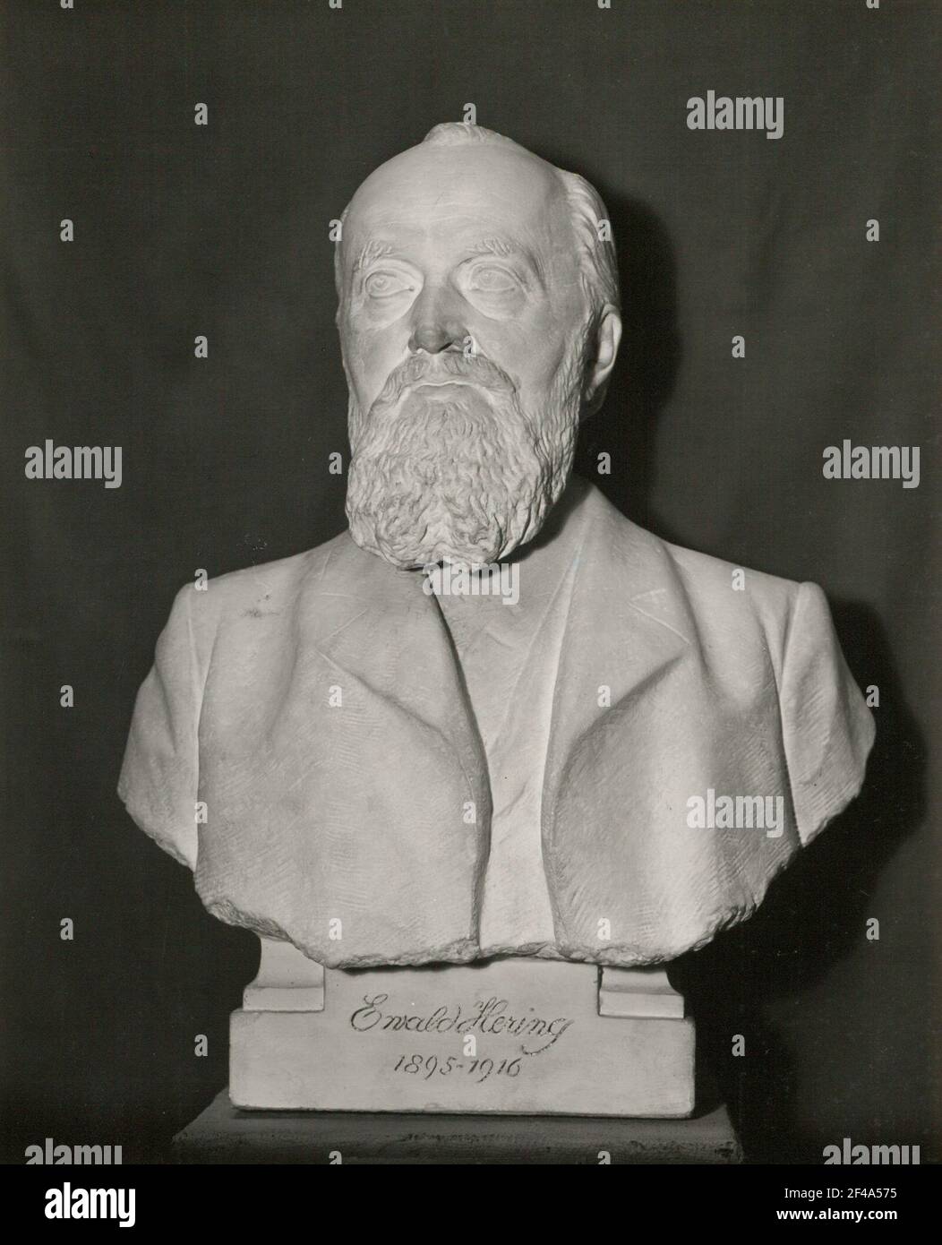 Ewald hering hires stock photography and images Alamy