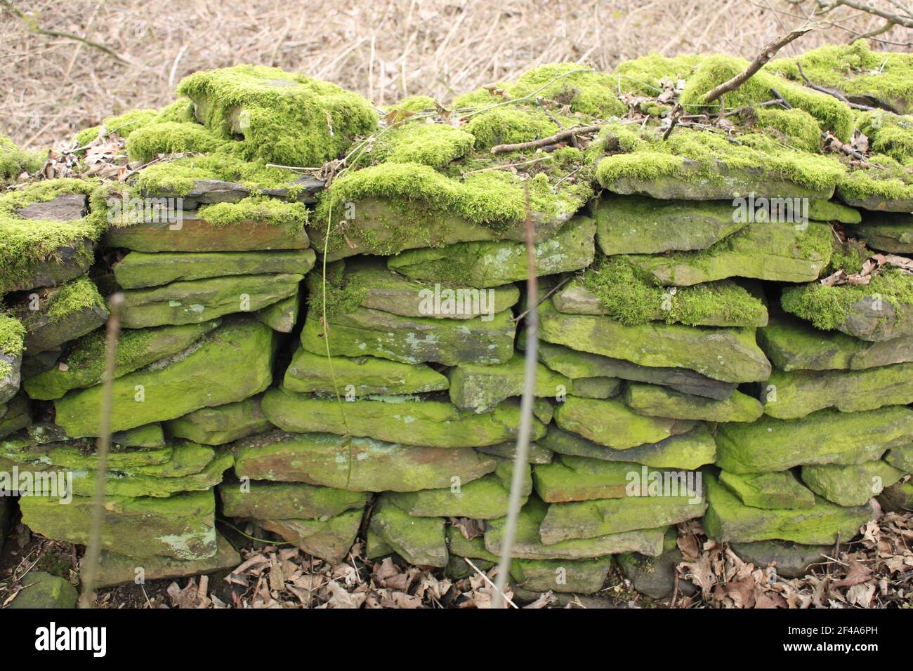 Green dry stone wall with moss on the top in early spring season Stock Photo