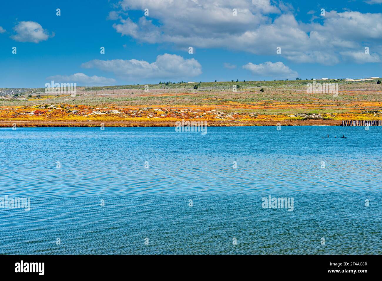 Blue sea gives way to springtime shoreline and hills under blue skies with white fluffy clouds. Stock Photo