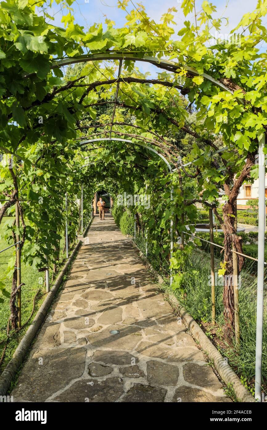 Florence, Italy.  Villa Olmi grape trellis over a stone path in a formal garden.  (For editorial use only) Stock Photo
