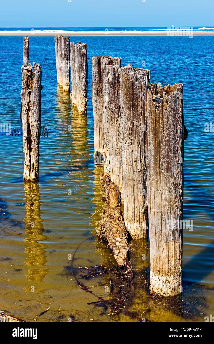 Decaying wooden posts is all that remains of a wooden pier in the blue ocean. Stock Photo