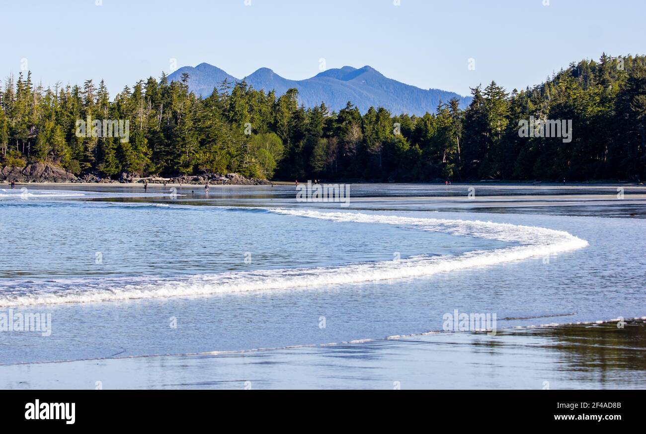 A wave crashing on a sandy beach on the West coast of Vancouver island neat Tofino British Columbia Canada. Stock Photo
