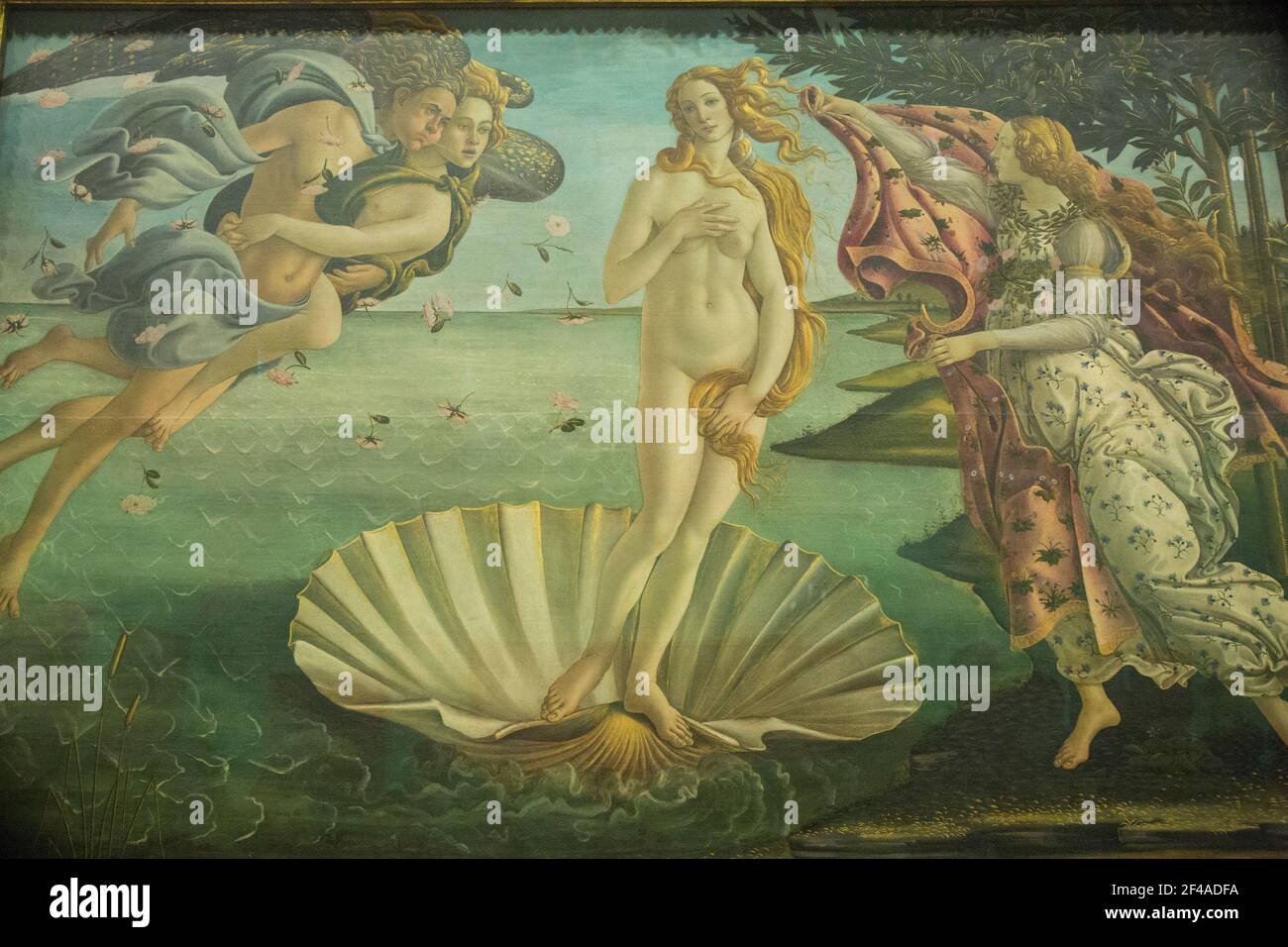 Florence, Italy.  Birth of Venus by Sandro Botticelli tempera on canvas painting in the Uffizi Gallery.  (For Editorial Use Only) Stock Photo