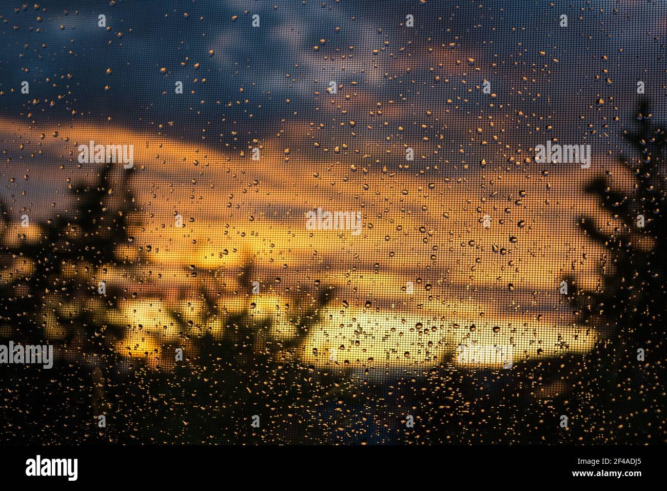 Rain drops on mosquito net after rain with sunset in the background Stock Photo