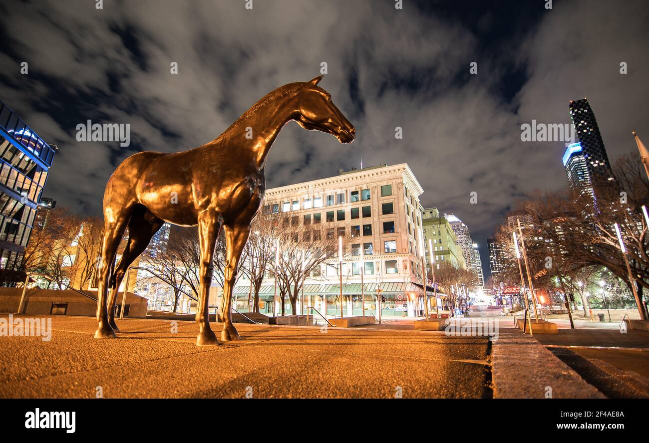 Calgary Alberta Canada, March 15 2021: A horse statue standing at a downtown plaza around downtown landmarks and office buildings at night under a dra Stock Photo